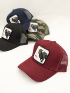 BULL Trucker Cap